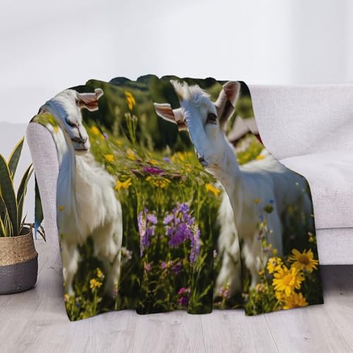 Couverture en peluche douce et légère imprimé chèvre - 5