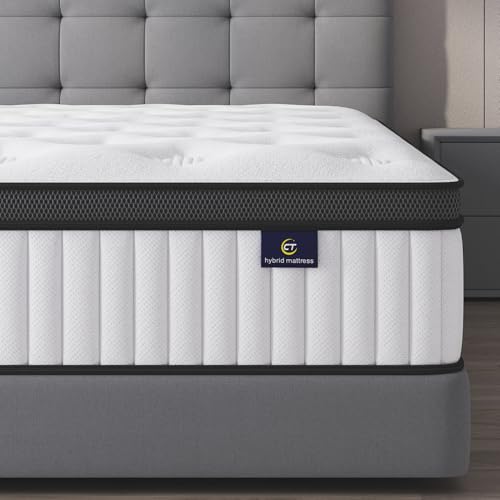 cemtip Colchón Queen híbrido de 10 pulgadas en una caja, espuma viscoelástica y muelles ensacados, sin fibra de vidrio, suave y transpirable, sensación de firmeza media