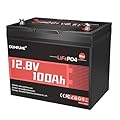 Dumfume 12V 100Ah Mini LiFePO4 Lithium Battery, Built-in 100A BMS,1280Wh Deep Cycle Rechargeable Battery 6000+ Cycles 10-Year Lifespan for RV, Solar, Off-Grid and Home Energy Storage