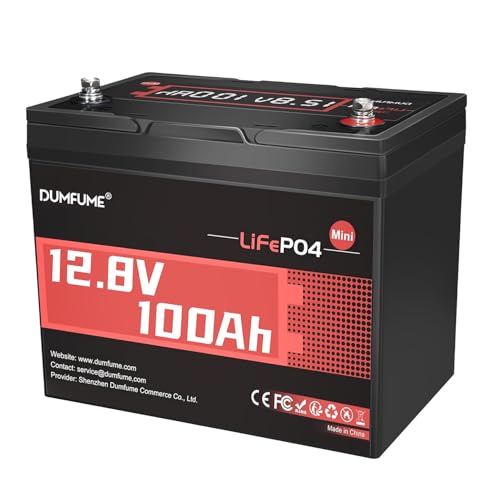 Dumfume 12V 100Ah Mini LiFePO4 Akku, 1280Wh, 100A BMS, 6000+ Zyklen & 10 Jahre Lebensdauer - Kompakter Stromspeicher für Wohnmobil, Solar, Caravan, Heimkraftwerk und USV