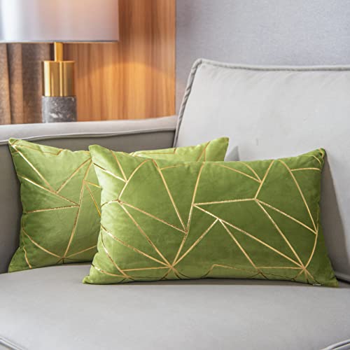 YONGLIU Pack of 2 Soft Velvet Lumbar Throw Pillow Covers Decorative Golden Foil Geometric Pattern Lime Cushion Case for Modern Homes Couch Sofa Bedroom Living Room Car Chair (Apple Green, 12“X20”)