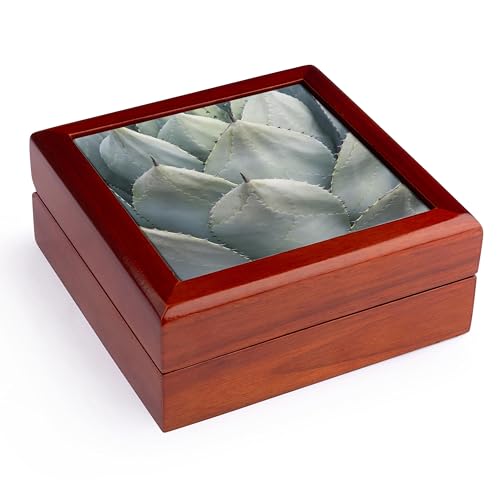 3dRose, Arizona, Phoenix. Desert Botanical Garden, agave, Jewelry Box 5.5x5.5 inch with 4 inch tile