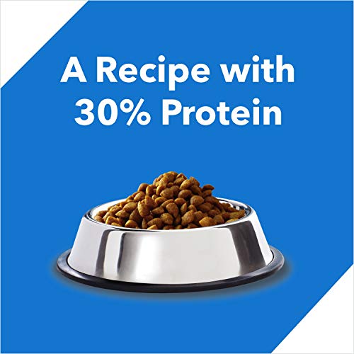 Drools-Kitten1-12-months-Dry-Cat-Food-Ocean-Fish-4kg-3kg-1kg-Free-Food-Inside