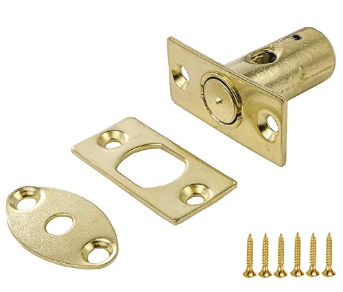 TERF® Perno de cerradura de seguridad con tornillos de fijación, de latón pulido, de 32 mm, 1 unidad Cover