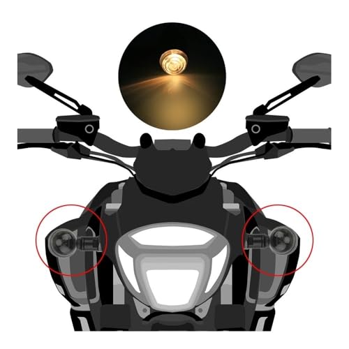 Intermitentes de moto 12V para luces de señal de cruiser y chopper 3