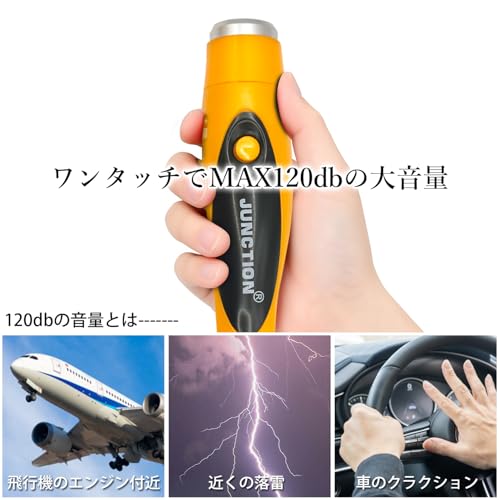 RemarksJapan 電子ホイッスル