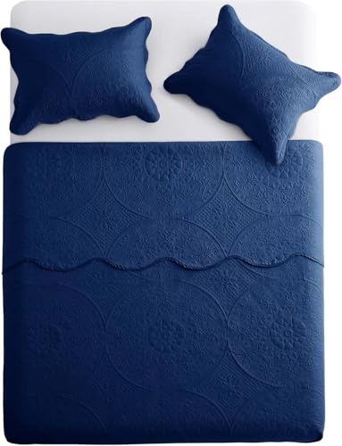 IR Imperial Rooms 10 Pack Queen Quilt Bedding Set (90" x 96") - Bulk Wholesale for Hotels, Guest Bedroom & Airbnbs - Lightweight Microfiber Reversible Floral Embossed Quilts Bedspreads (Blue)