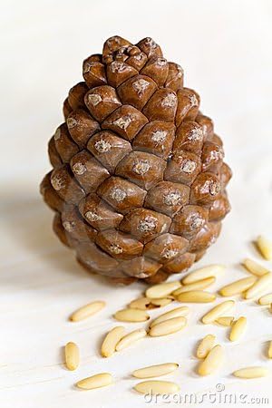 Image of SONAV FOODS Pine Nuts 100 GM | Chilgoza Dry Fruits | Without Shell | Nuts Jumbo Size Pine Nuts Chilgoze | Chilgoja