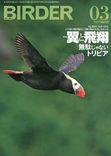 スマホ 無料電子書籍 BIRDER(バーダー)2021年3月号 翼と飛翔 無駄じゃないトリビア バイ