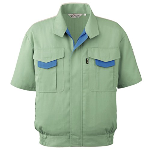 [~hS] ƕ  u] jp  ѓdh~ ْ̍f GR}[NF ʋC RCS196  O[ M