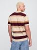 GAP Suéter Polo Novedoso para Hombre 4