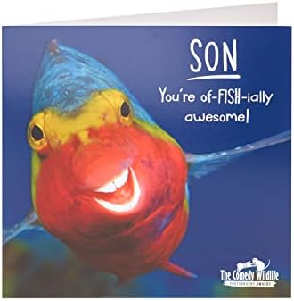 Son Birthday Card with Pun- Birthday Card for Him - Funny Fish Comedy Wildlife Card