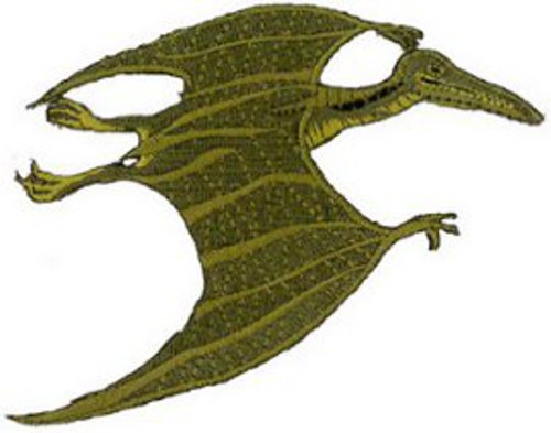 Toppa ricamata in Pterodattilo 11cm X 6.5cm