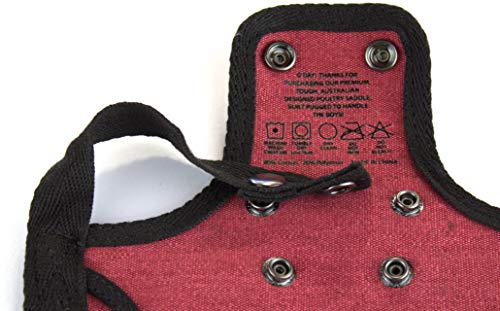 DOWN UNDER OUTDOORS Medium-Large Chicken Saddle with Adjustable Straps, Chicken Apron, Poultry Saver, Pet Supplies, Including Shoulder Cover (Burgundy)