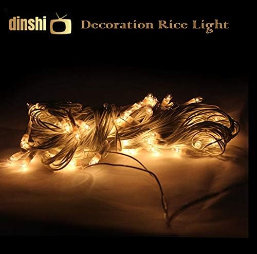 Dinshi Diwali Lights for Home and Outdoor Decoration in Warm White Color – 65 LED, 12 meter each string