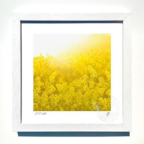 ŉ G؂̉ԔƑz02 CeA Ǌ| z z A[g A[gpl rO  v[g A[gt[   STCY