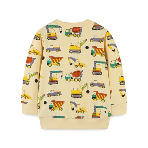 Boys Sweatshirts Long Sleeve Sweatshirts T-shirts Crew Neck Cotton Casual Sweatshirts Cartoon Tops for Boys-82
