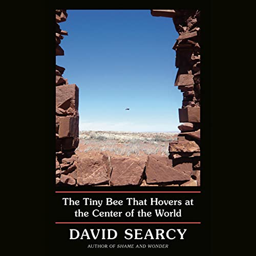 The Tiny Bee That Hovers at the Center of the World by David Searcy episode artwork