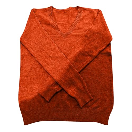 OIOLOYJM Fall Cashmere Sweaters for Women 2025 V Neck Long Sleeve Tops Knitted Pullovers Lightweight Merino Wool Sweater