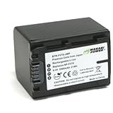 Wasabi Power Battery for Sony NP-FV70 and Sony DCR-SR15, SR21, SR68, SR88, SX15, SX21, SX44, SX45, SX63, SX65, SX83, SX85, FDR-AX100, HDR-CX105, CX110, CX115, CX130, CX150, CX155, CX160, CX190, CX200, CX210, CX220, CX230, CX260V, CX290, CX300, CX305, CX330, CX350V, CX360V, CX380, CX430V, CX520V, CX550V, CX560V, CX580V, CX700V, CX760V, CX900, HC9, PJ10, PJ30V, PJ50, PJ200, PJ230, PJ260V, PJ340, PJ380, PJ430V, PJ540, PJ580V, PJ650V, PJ710V, PJ760V, PJ790V, PJ810, TD10, TD20V, TD30V, XR150, XR155, XR160, XR260V, XR350V, XR550V, HXR-MC50U, NX3D1U, NX30U, NX70U, NEX-VG10, VG20, VG30, VG30H, VG900, DEV-3, DEV-5, DEV-50