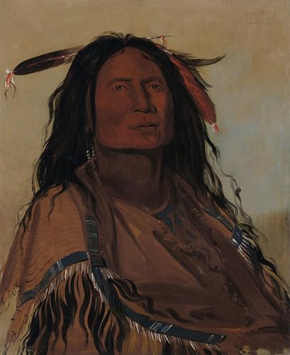 Lienzo de George Catlin 60x90cm para revivir paredes vacías con arte y elegancia histórica