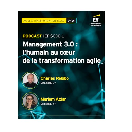 Management 3.0 : l&rsquo;humain au coeur de la transformation agile