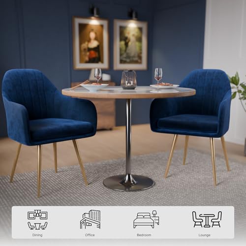 Image of Milano Velvet Comfort Dining Chair with Deep Cushion Seating, Strong Wooden Frame & Metal Support Legs for Dining, Living Room, Bedroom, Balcony & Office (Cosmic Blue)