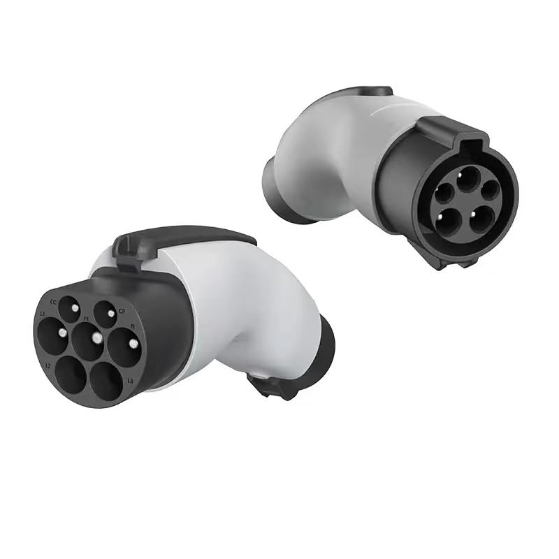 Amazon.com: WUFEN (BYD Auto Exclusive Edition) Adapter Type1 to