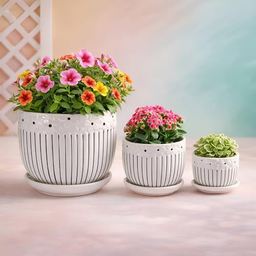 Image of Xtore Graceful Embossed Ceramic Planter Set of 3 with Drain Trays | Floral Textured Indoor Pots for Living Room, Balcony & Shelf Decor (Pack of 3, Planter only)