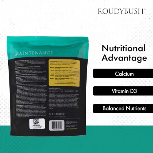 Roudybush Daily Maintenance Bird Food, Medium, 44-Ounce