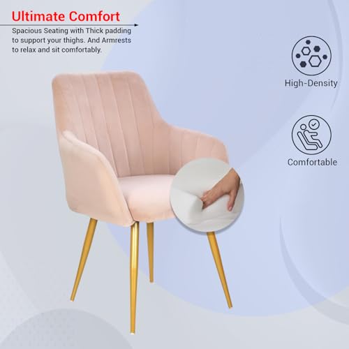 Image of Taboo Velvet Dining Chair | Upholstered Accent Arm Chair | Soft Cushioned Seat with Backrest | Modern Velvet Fabric Chair with Metal Legs | Living Room, Bedroom, Cafe & Restaurant Chair | Baby Pink