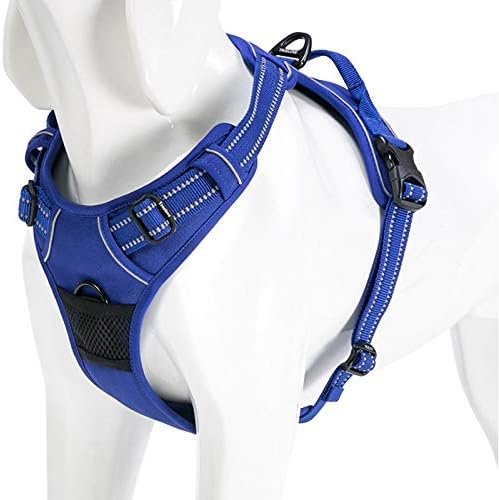 WINHYEPET True Love Dog Harness