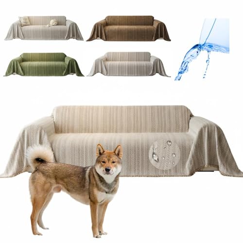 Lifetips liShikoku Inuj \t@[Jo[ k  􂦂 h }`Jo[ 2l| 3l| It IȂ ~ Eh~ LΉ lGʗp ix[Wj i230180CMj