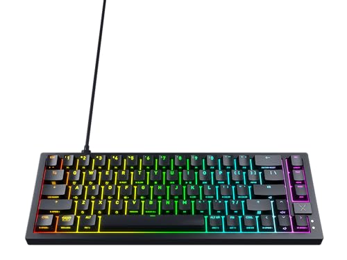 CHERRY XTRFY MX2A 赤軸 108キーUS ゲーミングキーボード 41QzjpG2SWL.jpg