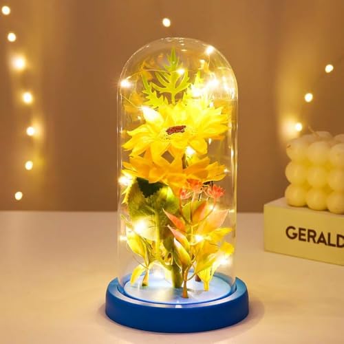 Tuyiutm ̂Ђ܂̃MtgAޏ̂߂̒aMtgAKXh[̐lHIȂЂ܂ANX}XAo^Cf[AA̓ALÔ߂̓ƓȃMtg (F)