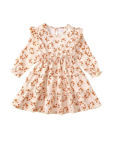 Toddler Girl Dress Clothes Ruffle Long Sleeve Casual Dress Floral Boho Outfits Cute Winter Fall Girls Dresses