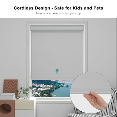 https://m.media-amazon.com/images/I/41QzqLQDY6L.jpg
