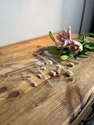 100 Spitzkorken – Naturkorken 24 x 19/15 mm, gewaschen und hochwertig, ideal für Reagenzgläser 16–18 mm, nachhaltige Medizinkorken, Laborkorken und Bastelbedarf ohne Presskorken