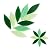 Mosaic Tiles 15 Pieces / 50 g Pack of Mica Stained Glass Mosaic Tile Supplies for Home Decoration, DIY Crafts, Plates, Picture Frames, Flowerpots - 5x2 cm Petals Leaves Tiles (Green Mix)