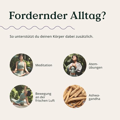 NATURE LOVE® Bio Ashwagandha - 240 Kapseln - Hochdosiert mit 1950mg je Tagesdosis - Hochwertiges indisches Ashwagandha - Laborgeprüft, vegan, in Deutschland produziert