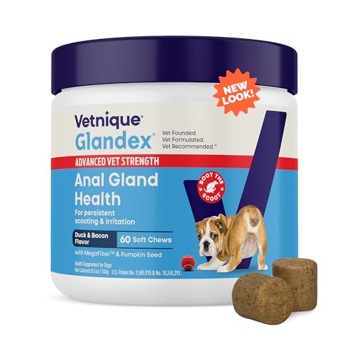 Vetnique Glandex Anal Gland Soft Chew Treats with Pumpkin for Dogs Digestive Enzymes, Probiotics...