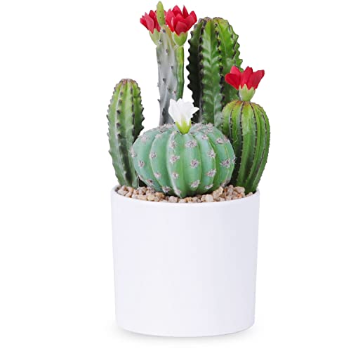 HONHDONZJP Artificial Cactus Faux Flowering Cactus Fake Succulent Potted Plant 7.9 Inch...