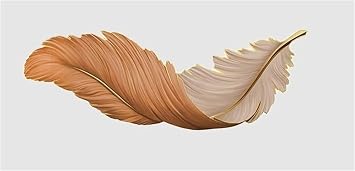 Feather Wall Decoration, Wall Art Decoration with LED Lights, Modern Wall Decoration, Suitable for Living Room, Bedroom, Study, Restaurant, EntranceOrange,31.4 * 11.8in
