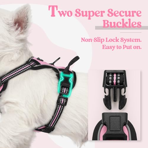 Image of rabbitgoo Dog Harness No Pull with 2 Leash Clips, Adjustable Soft Padded, Reflective Oxford No Choke Pet Vest with Easy Control Handle for Puppy, Pink, XS