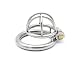 Raycity Male Chastity Cage Device (45mm Ring) 117