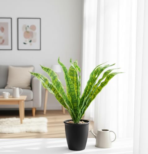 Image of Foliyaj Artificial Snake Plant with Black Pot with Embedded Brown Stones | 38 cm Tall | Plants for Home Decor | Indoor Plants for Living Room
