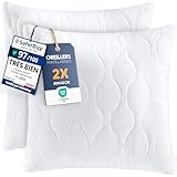 Utopia Bedding Lot de 2 oreillers 40 x 40 cm, coussins matelassés pour lit et comme coussin décoratif, rembourrage de coussin, coussin de canapé, coussin décoratif pour canapé, blanc