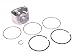 Briggs & Stratton 793647 Piston Assembly Replaces 499588/698429