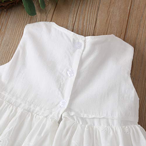 Toddler Baby Girls Dress Embroideries Floral Summer Seaside Beach Sundress Onepiece Outfits (White Princess Dress, 9-12 Months) #TOP5