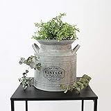 Home Styling